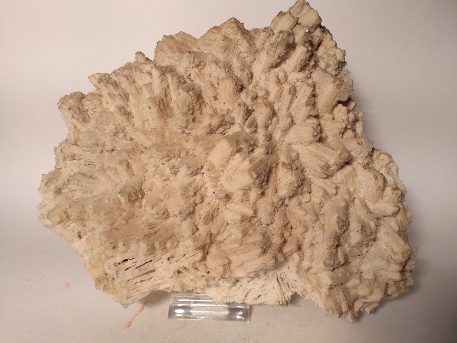 Ankerita pseudomórfica de Anhidrita, Celestina
190 x 160 mm
(Autor: Sante Celiberti)