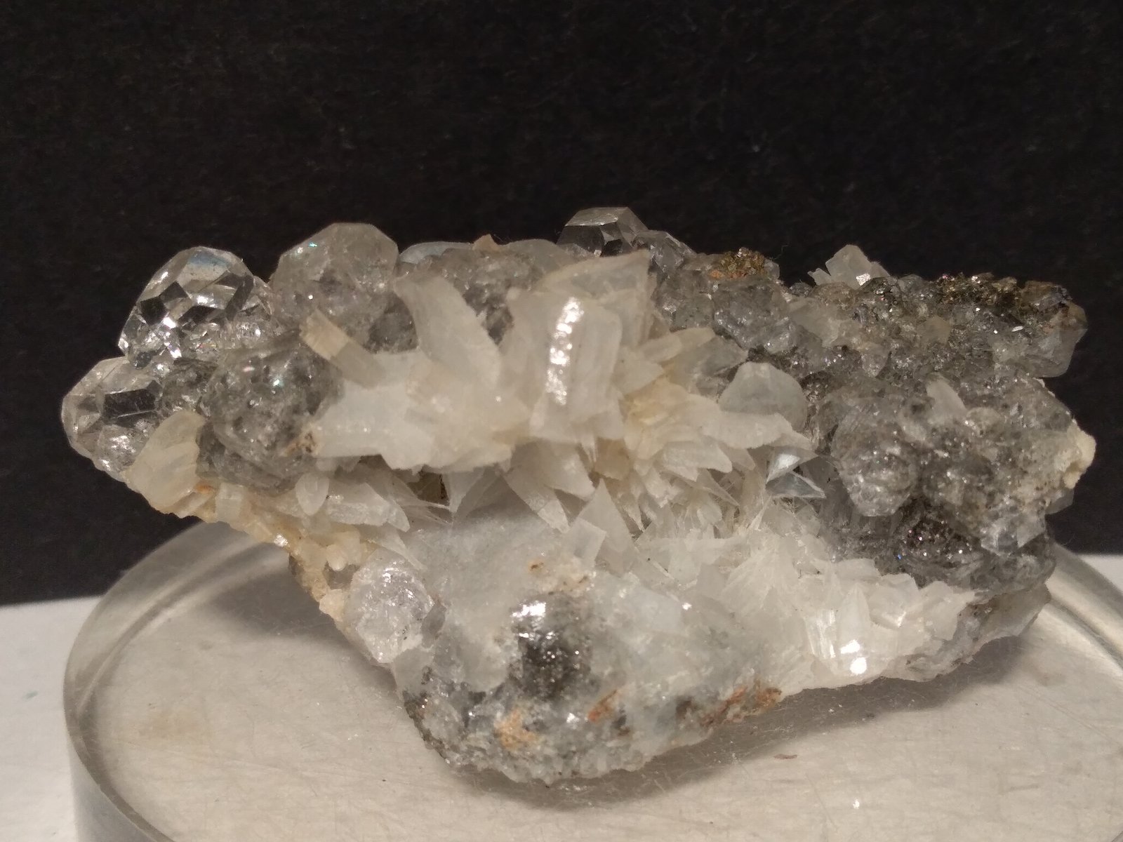 Anhidrita, Fluorita, Pirita
56 x 29 mm
(Autor: Sante Celiberti)