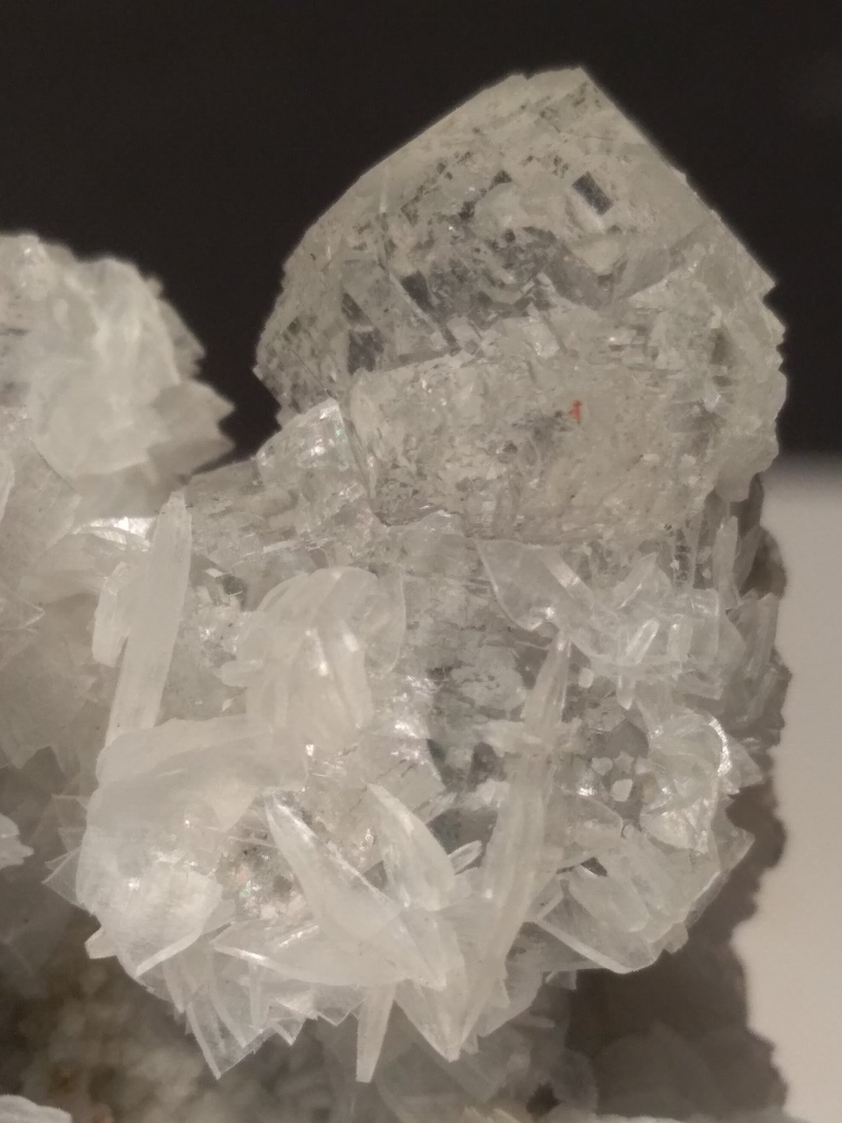Anhidrita, Fluorita
102 x 85 mm
(Autor: Sante Celiberti)