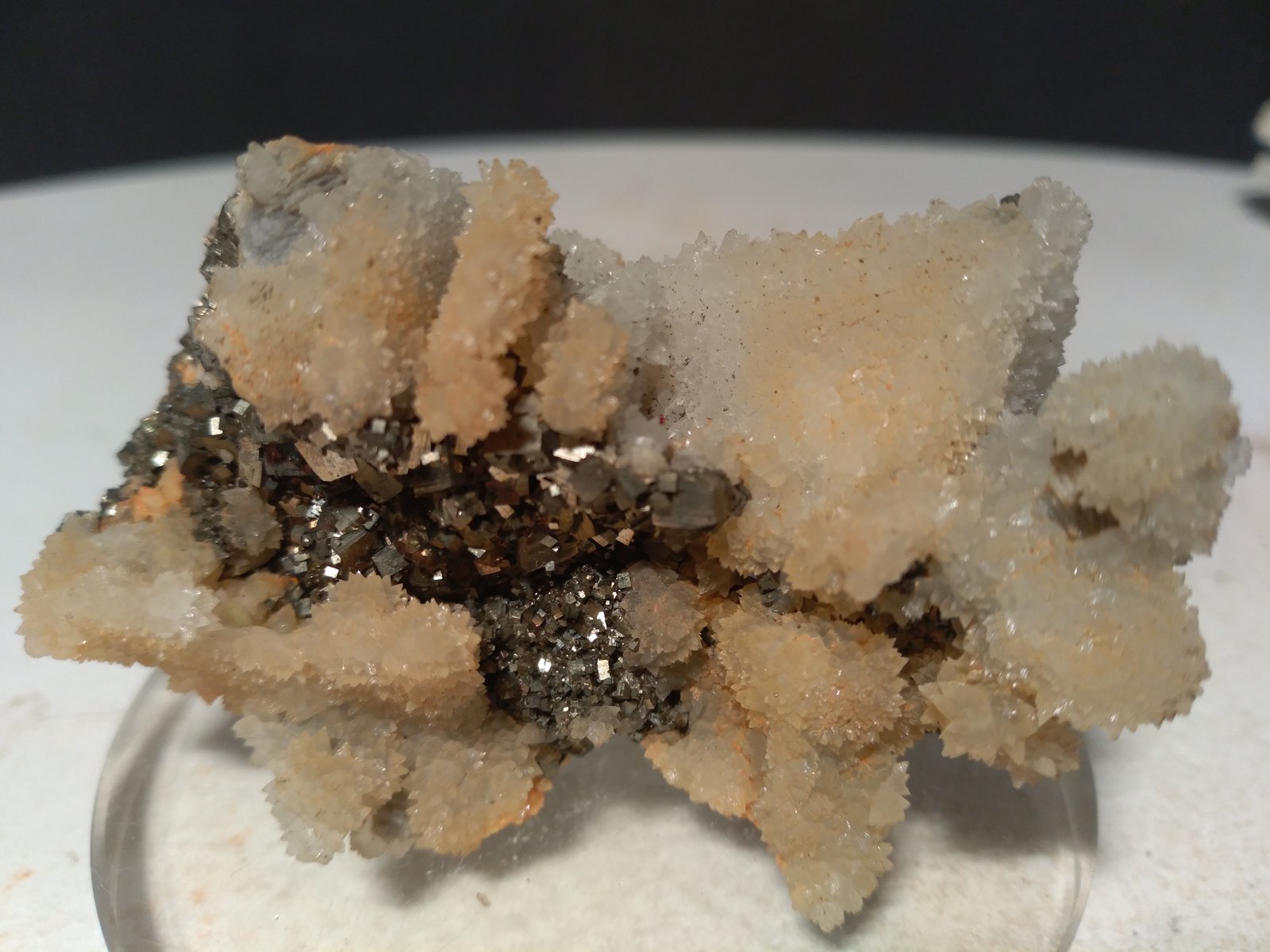 Calcita pseudomórfica de Anhidrita, Pirita
62 x 36,6 mm
(Autor: Sante Celiberti)
