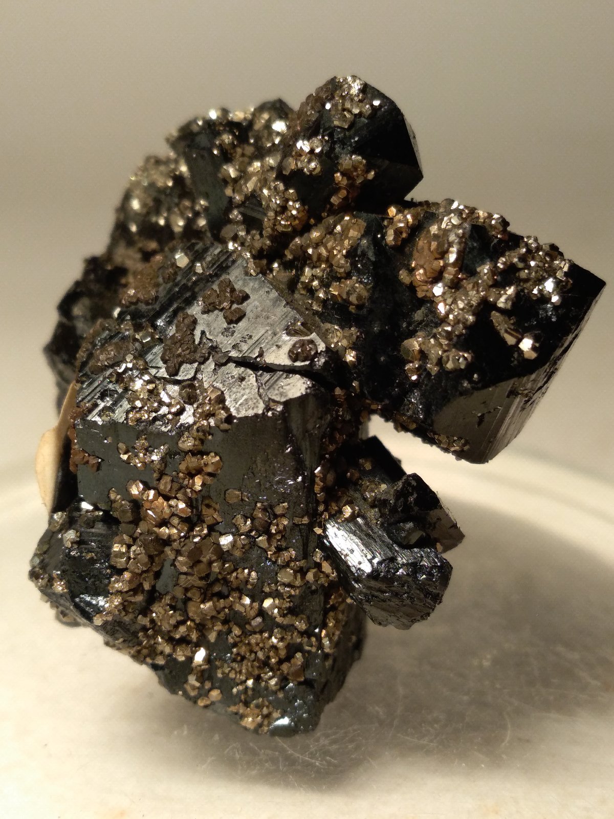 Ilvaita, Pirita
32,5 x 34,2 mm
(Autor: Sante Celiberti)