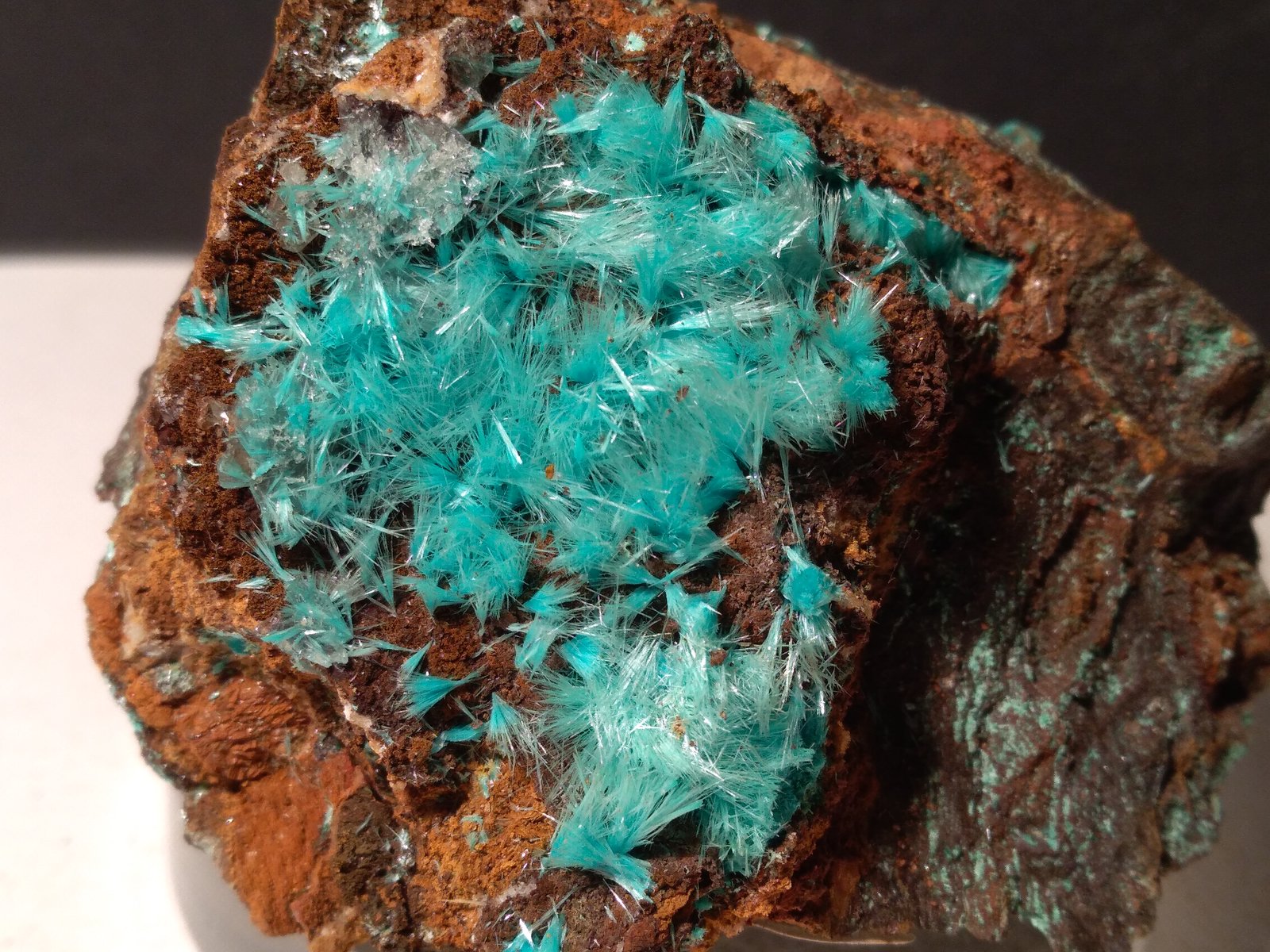 Aurichalcita
65 x 65 mm
(Autor: Sante Celiberti)