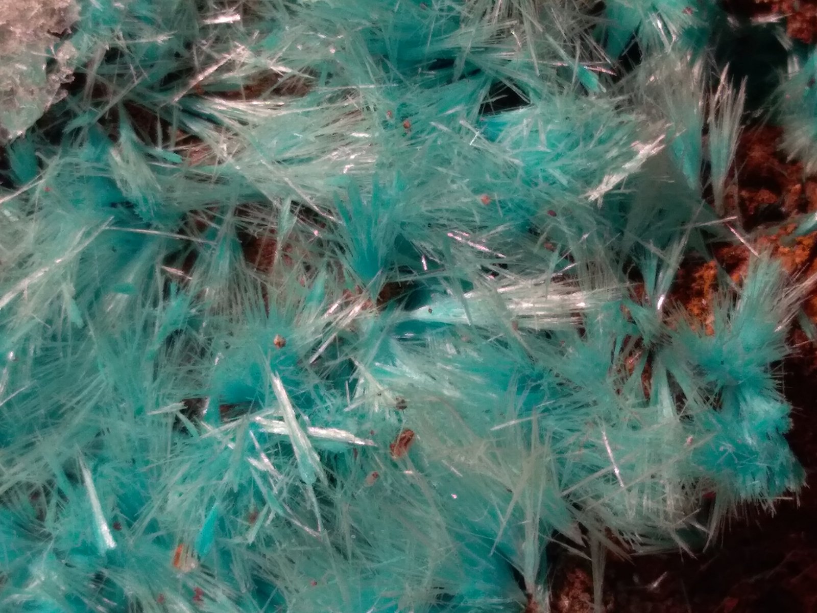 Aurichalcita
65 x 65 mm
(Autor: Sante Celiberti)