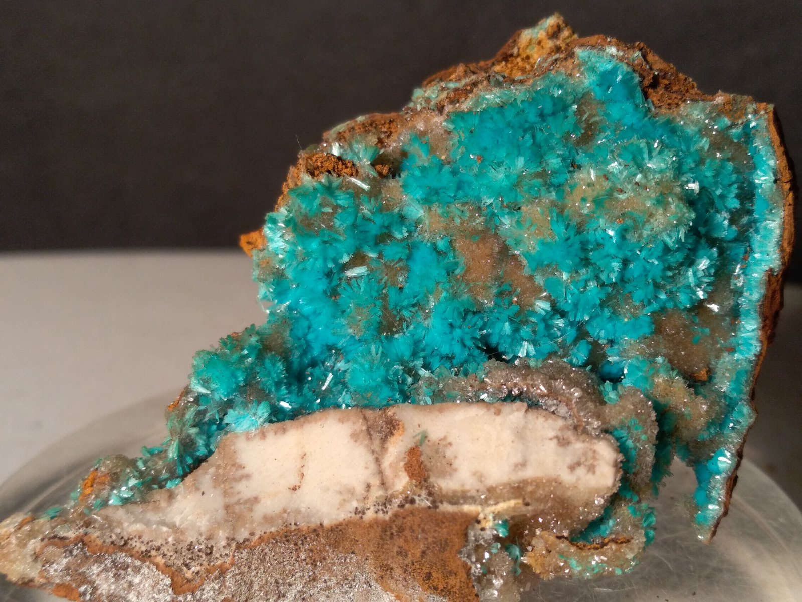Aurichalcita
55 x 45 mm
(Autor: Sante Celiberti)