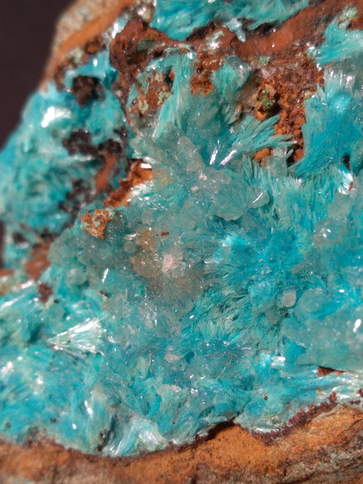 Aurichalcita, Hemimorfita
75 x 62 mm
(Autor: Sante Celiberti)