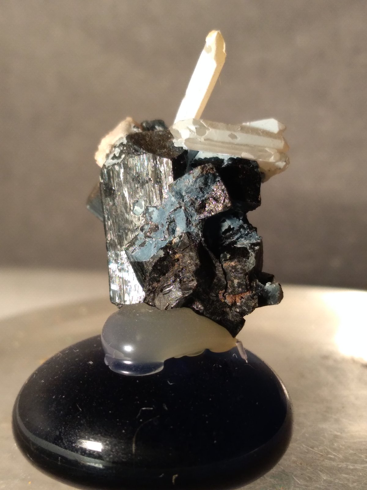 Ilvaita, Cuarzo
19 x 14 mm
(Autor: Sante Celiberti)