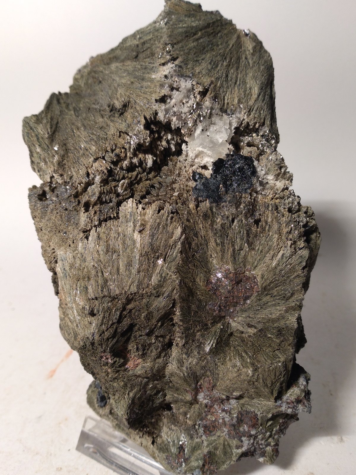 Hedenbergita, Ilvaita, Pirita, Esfalerita
132 x 85 mm
(Autor: Sante Celiberti)