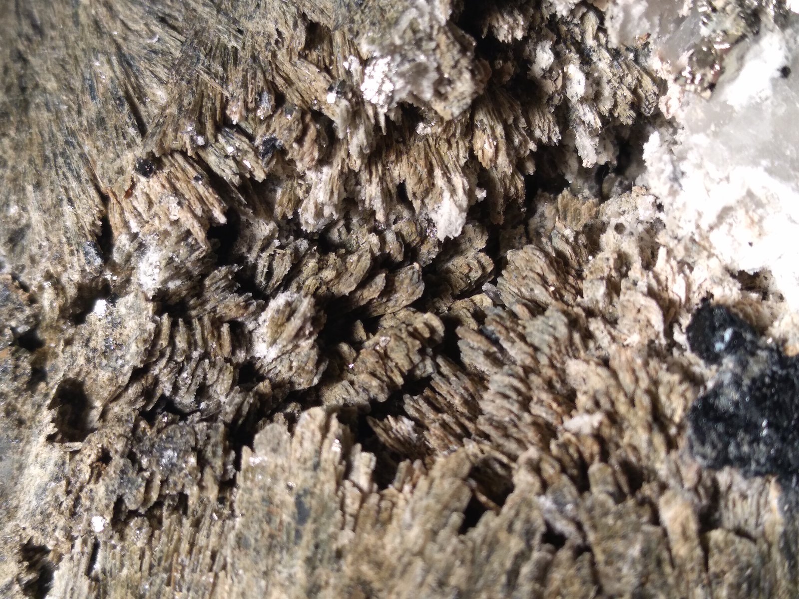 Hedenbergita, Ilvaita, Pirita, Esfalerita
132 x 85 mm
(Autor: Sante Celiberti)