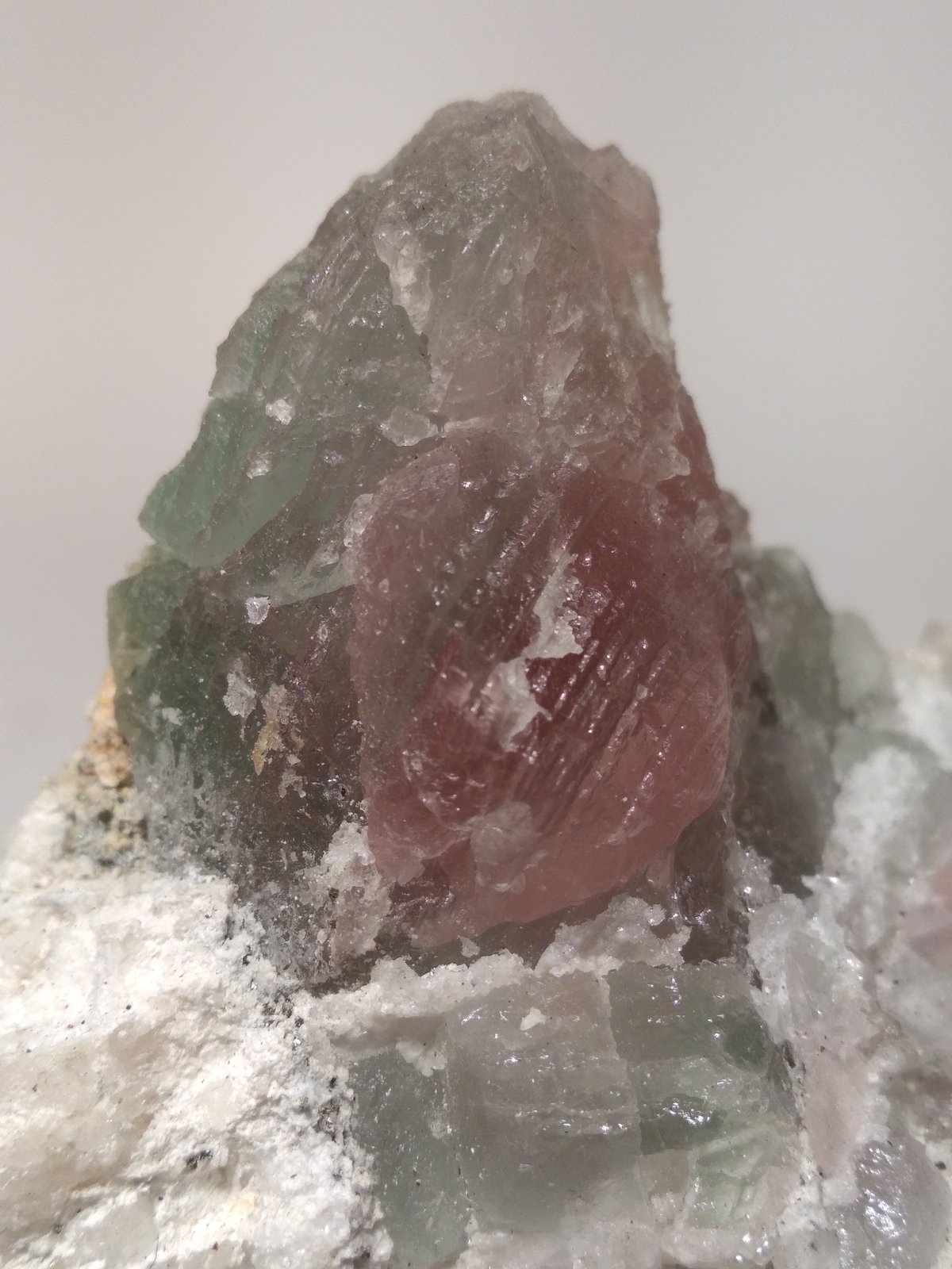 Fluorita
88 x 65 mm
(Autor: Sante Celiberti)