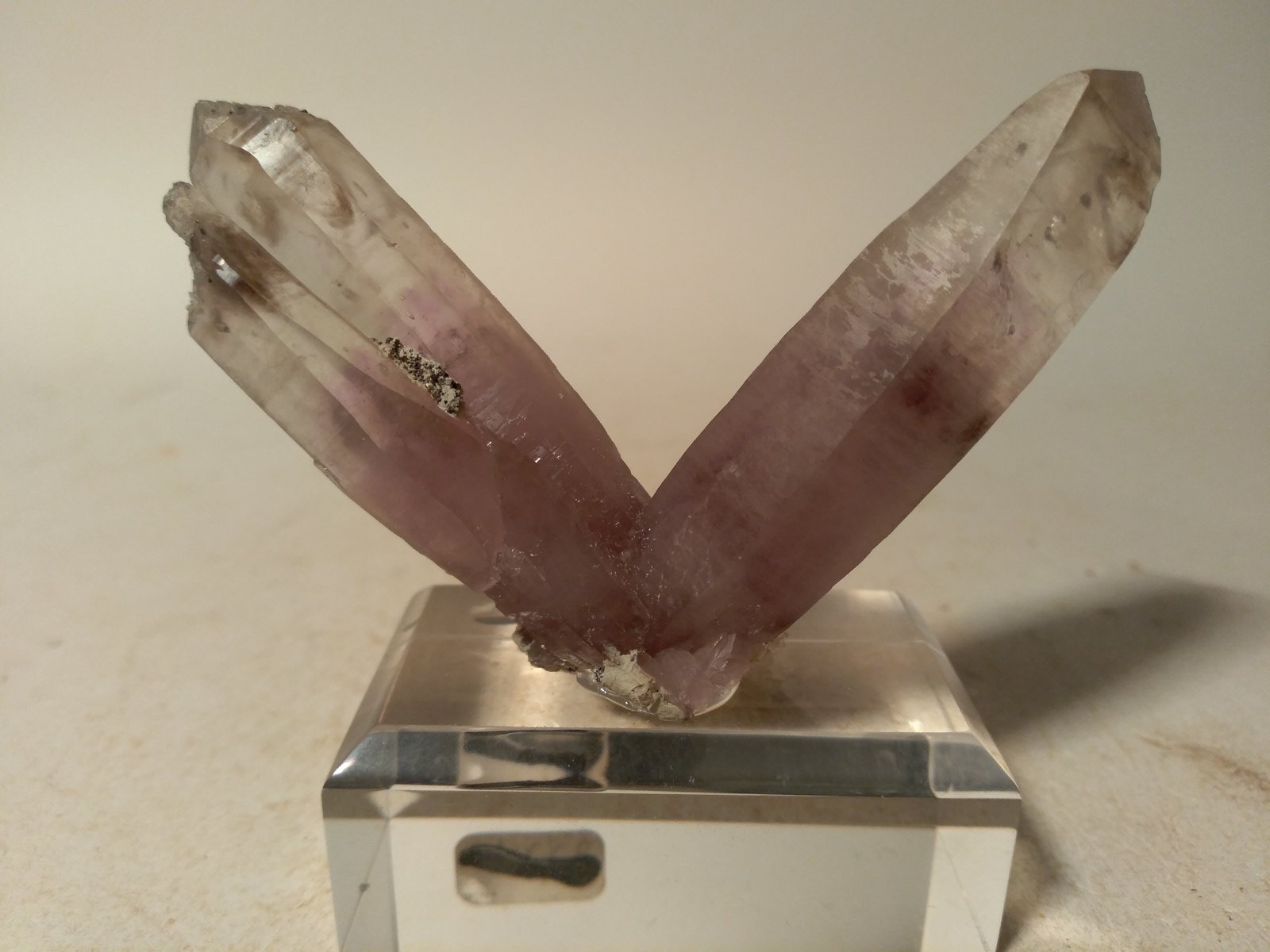 Cuarzo (variedad amatista), Pirita
72 x 47 mm
(Autor: Sante Celiberti)