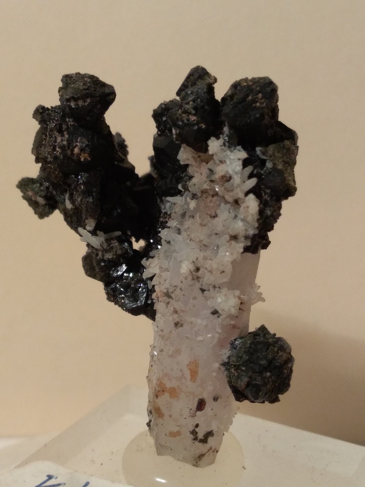 Esfalerita, Cuarzo
40 x 33 mm
(Autor: Sante Celiberti)