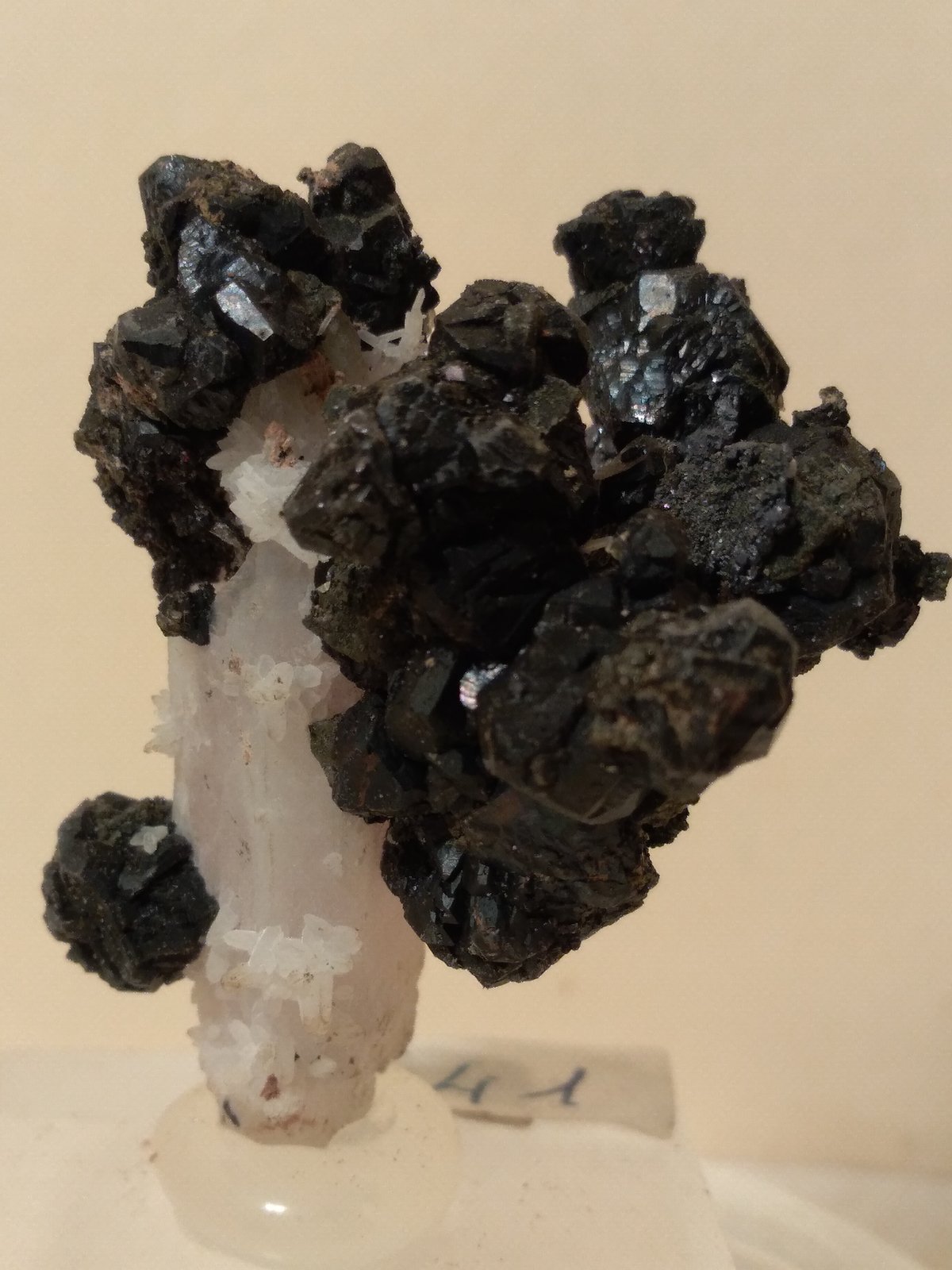 Esfalerita, Cuarzo
40 x 33 mm
(Autor: Sante Celiberti)