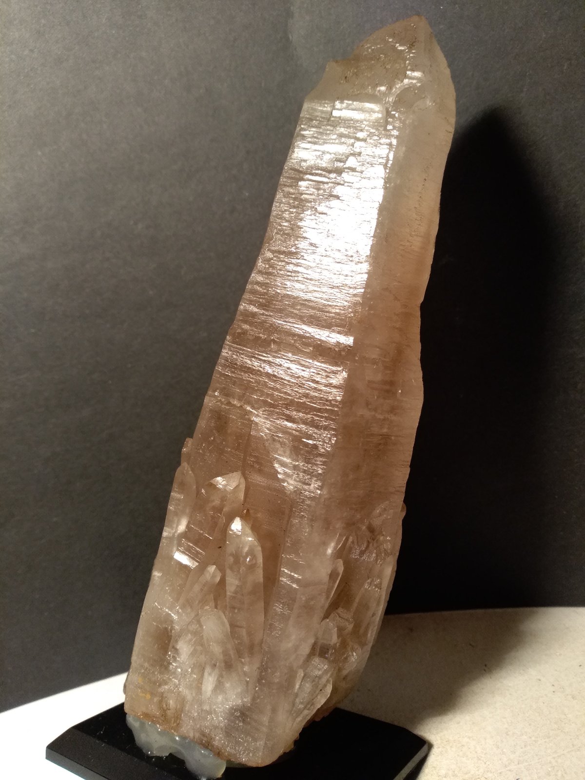 Cuarzo (variedad amatista), Pirita
165 x 56 mm
(Autor: Sante Celiberti)