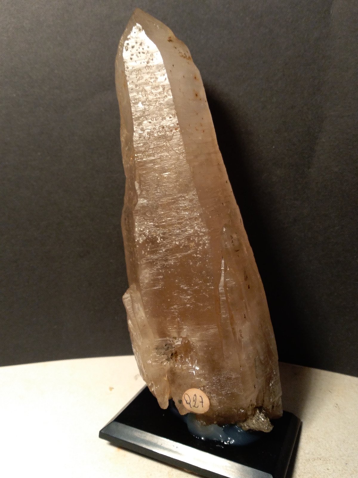 Cuarzo (variedad amatista), Pirita
165 x 56 mm
(Autor: Sante Celiberti)