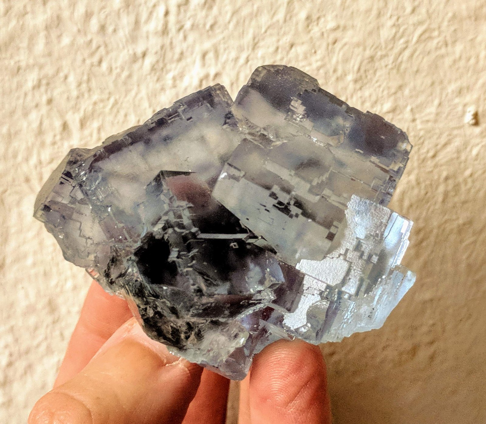 Fluorita
7,3 x 5,0 cm.
(Autor: carles)