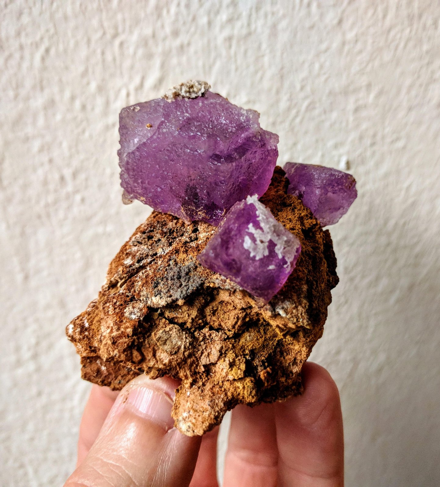 Fluorita
5,5 x 6,5 cm.
(Autor: carles)