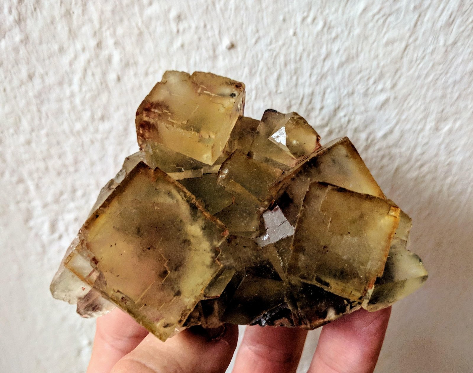 Fluorita
8,5 x 6,6 cm.
(Autor: carles)