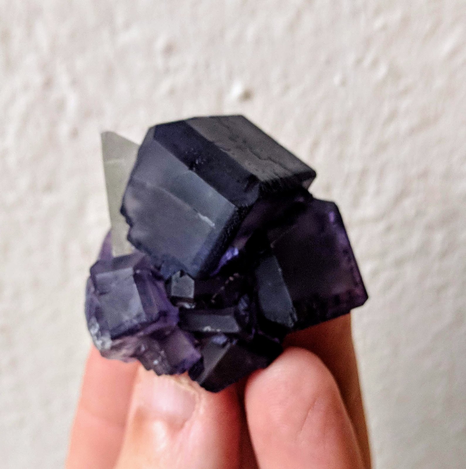 Fluorita, Calcita
4,0 x 4,0 cm.
(Autor: carles)