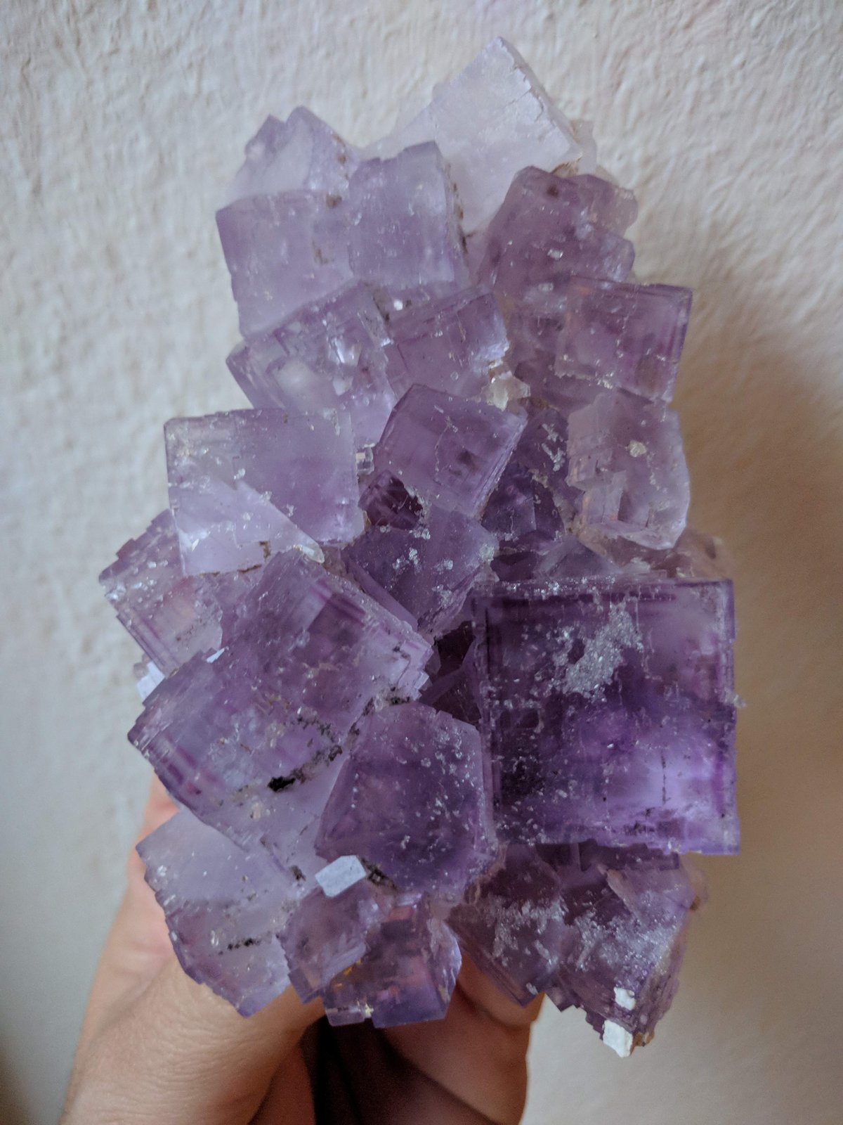 Fluorita
7,5 x 11,2 cm.
(Autor: carles)