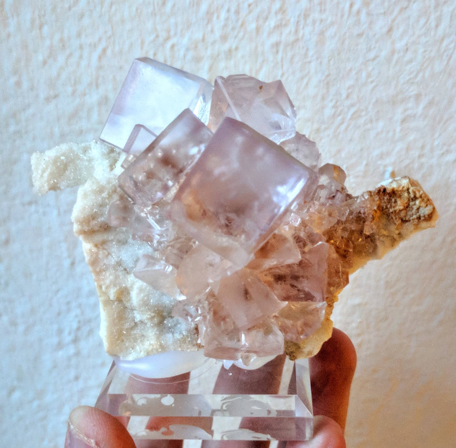 Fluorita
9,0 x 7,3 cm.
(Autor: carles)