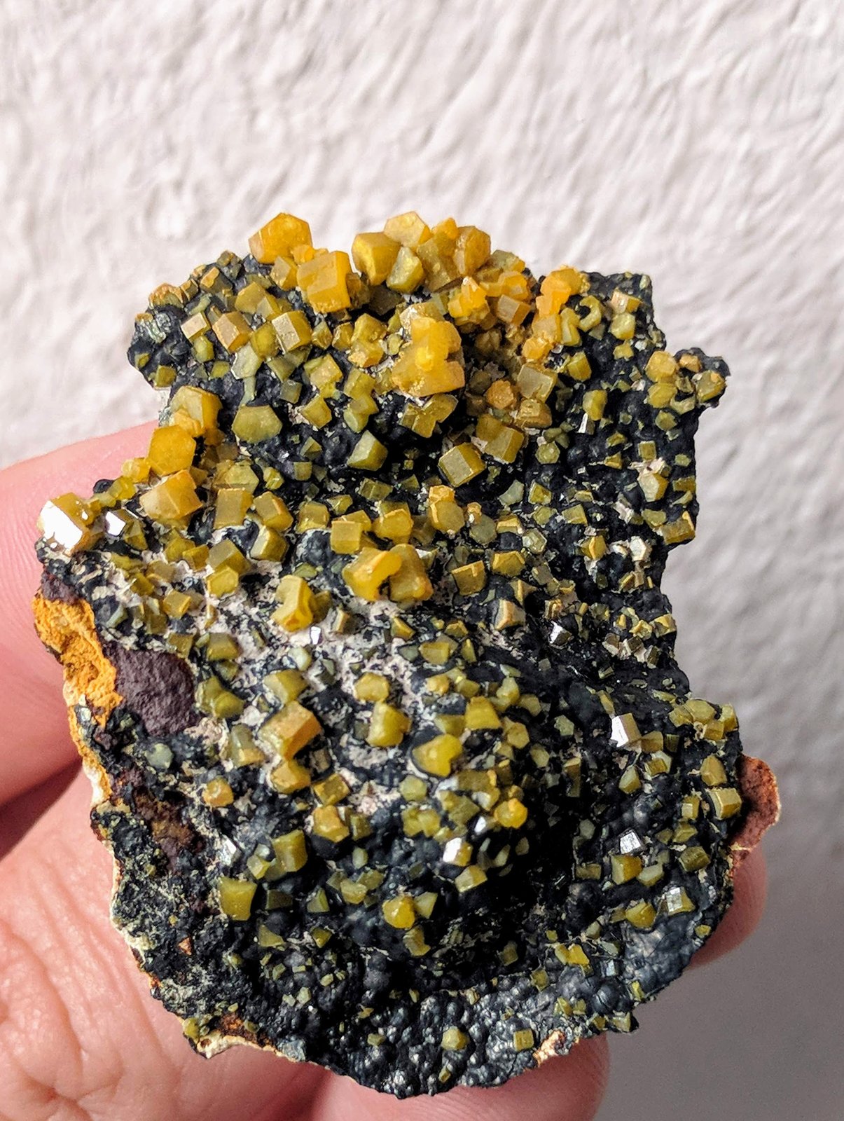 Mimetita
4,7 x 3,8 cm.
(Autor: carles)