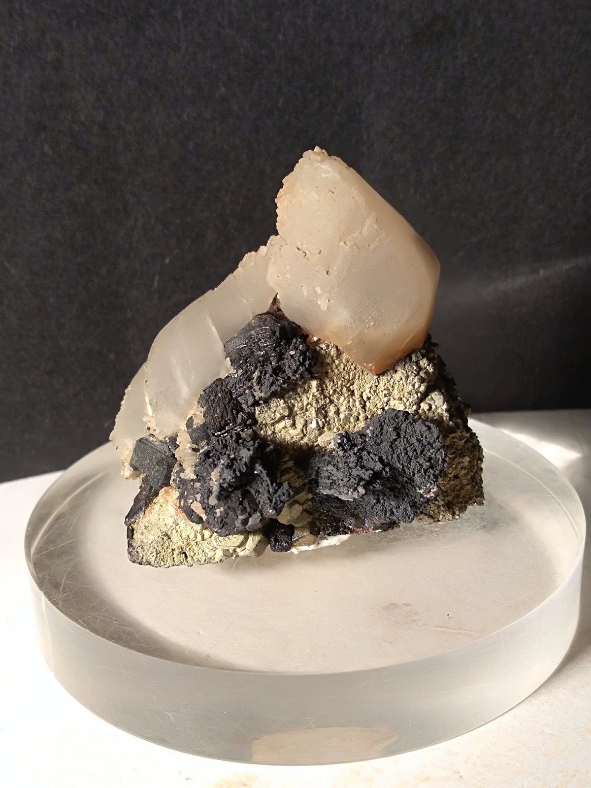 Calcita (variedad manganocalcita), Galena, Esfalerita, Pirita
43 x 41 mm
(Autor: Sante Celiberti)