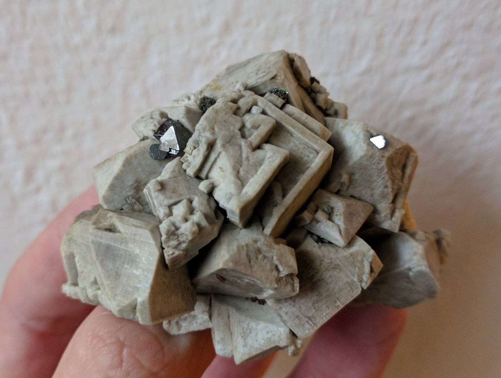 Ortoclasa, Magnetita
7,0 x 4,7 cm.
(Autor: carles)