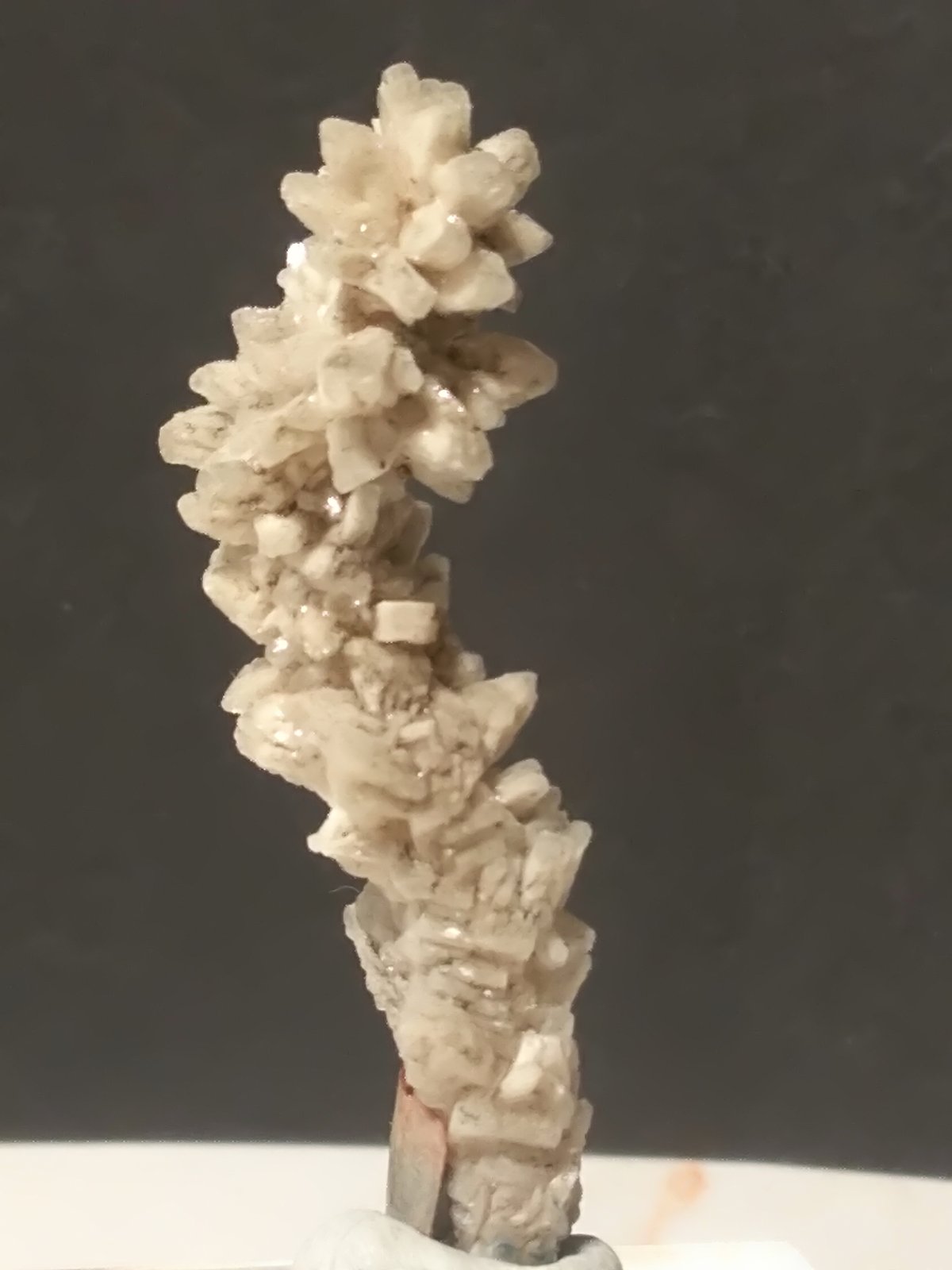 Barita, Pirita.
45 x 15 mm
(Autor: Sante Celiberti)