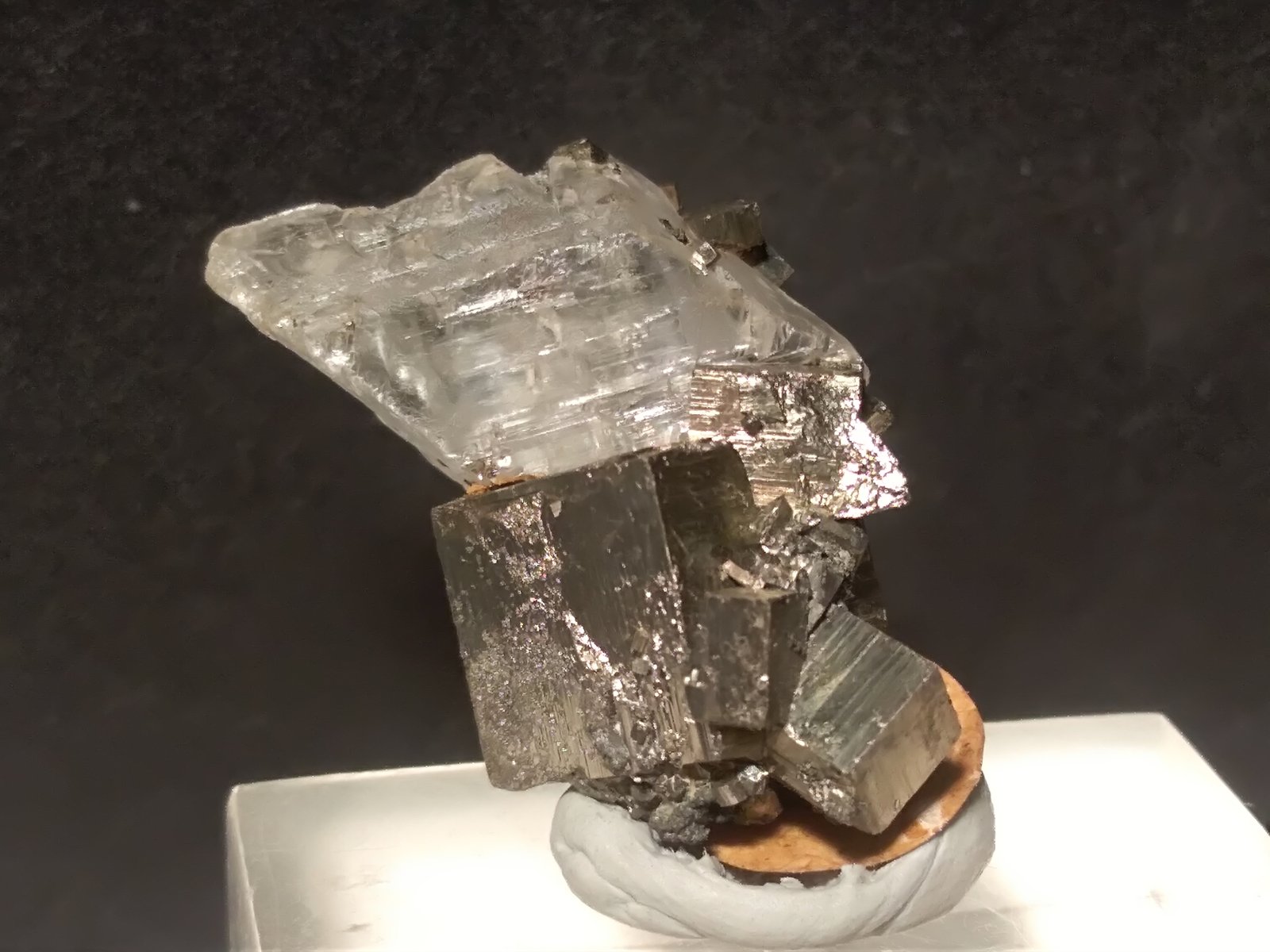 Yeso, Pirita.
27 x 18 mm
(Autor: Sante Celiberti)