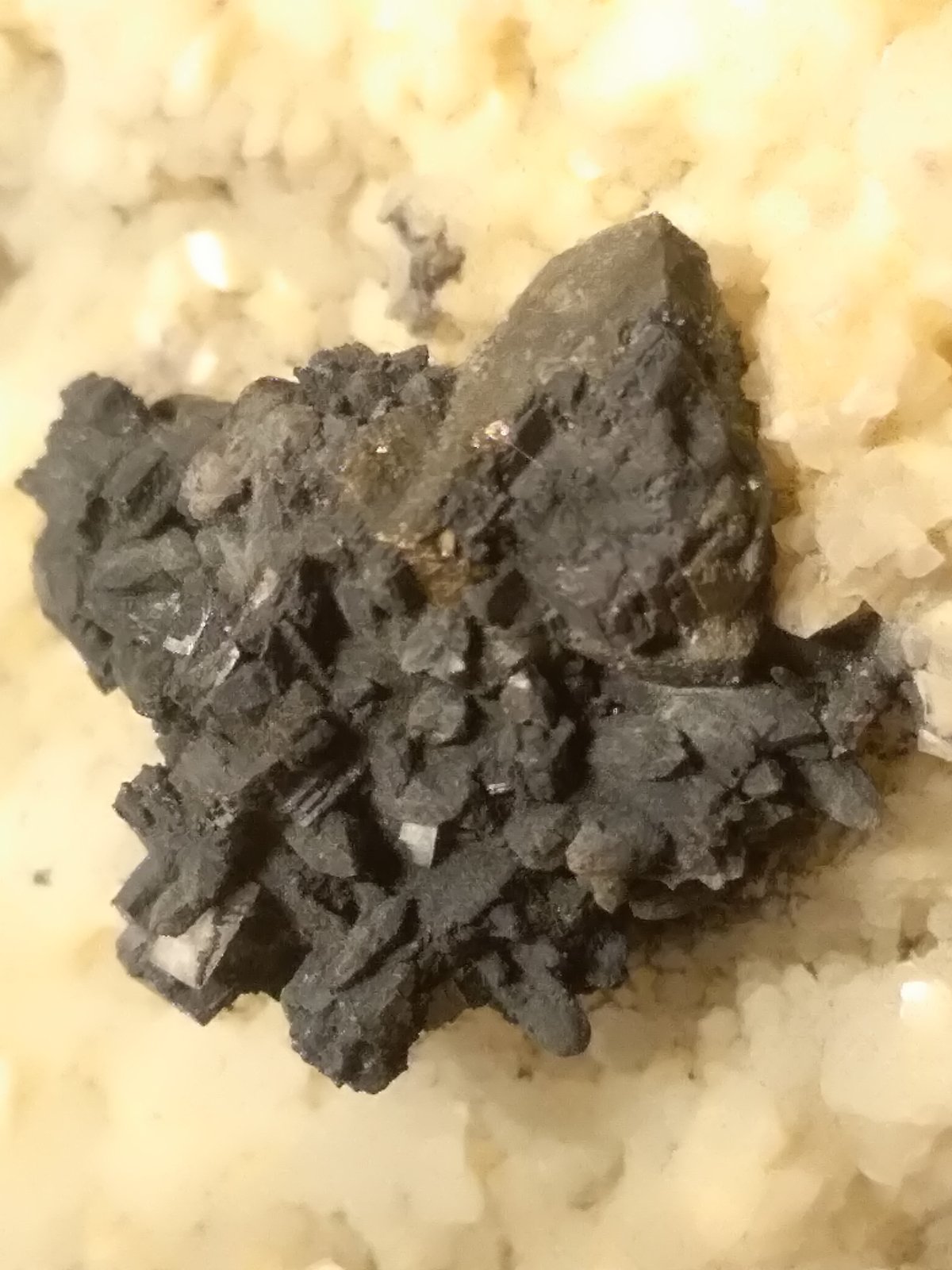 Calcopirita, Esfalerita, Galena, Berthierita, Cuarzo
123 x 67 mm
(Autor: Sante Celiberti)