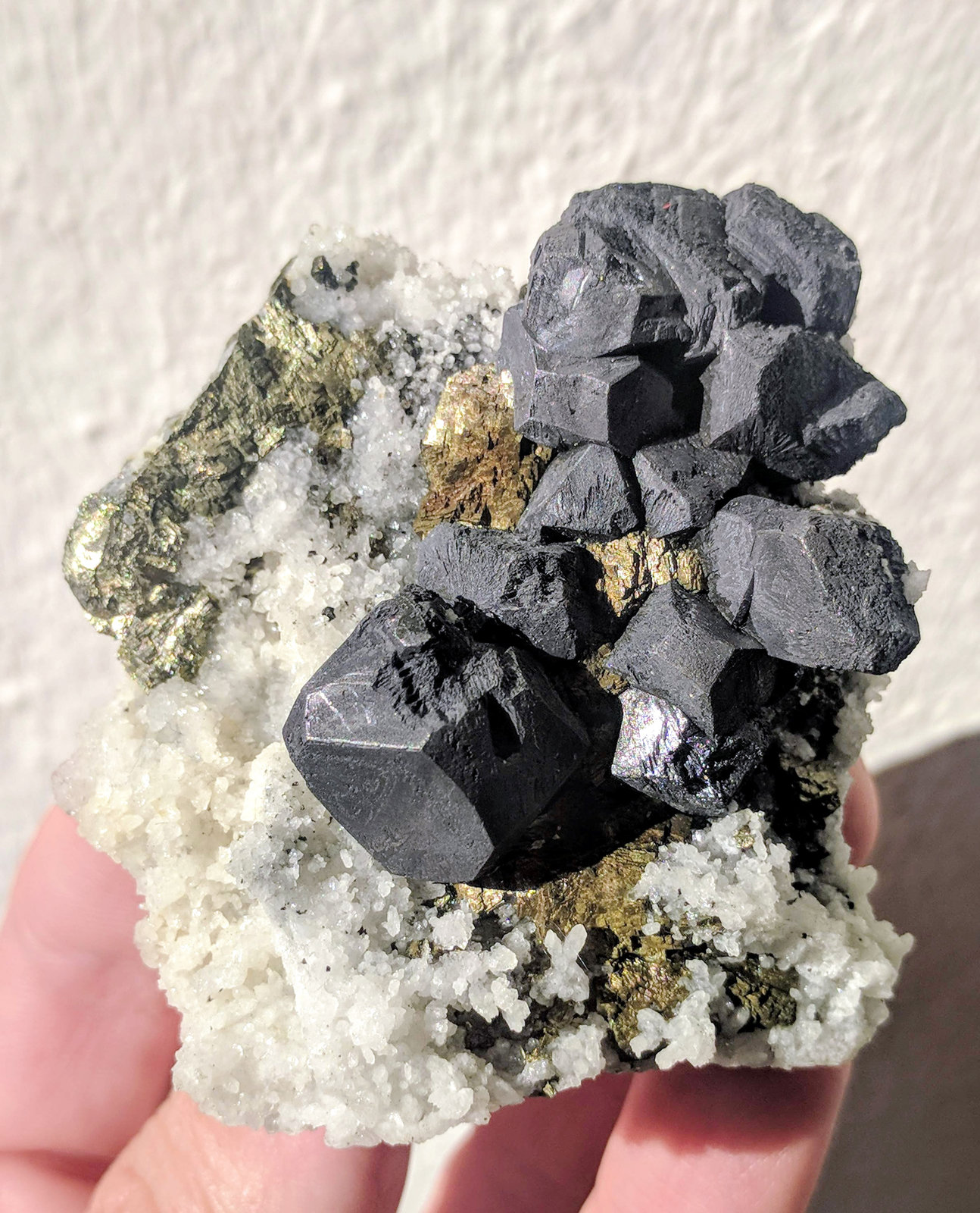 Galena, Pirita, Calcopirita, Cuarzo
5,7 x 7,0 cm.
(Autor: carles)