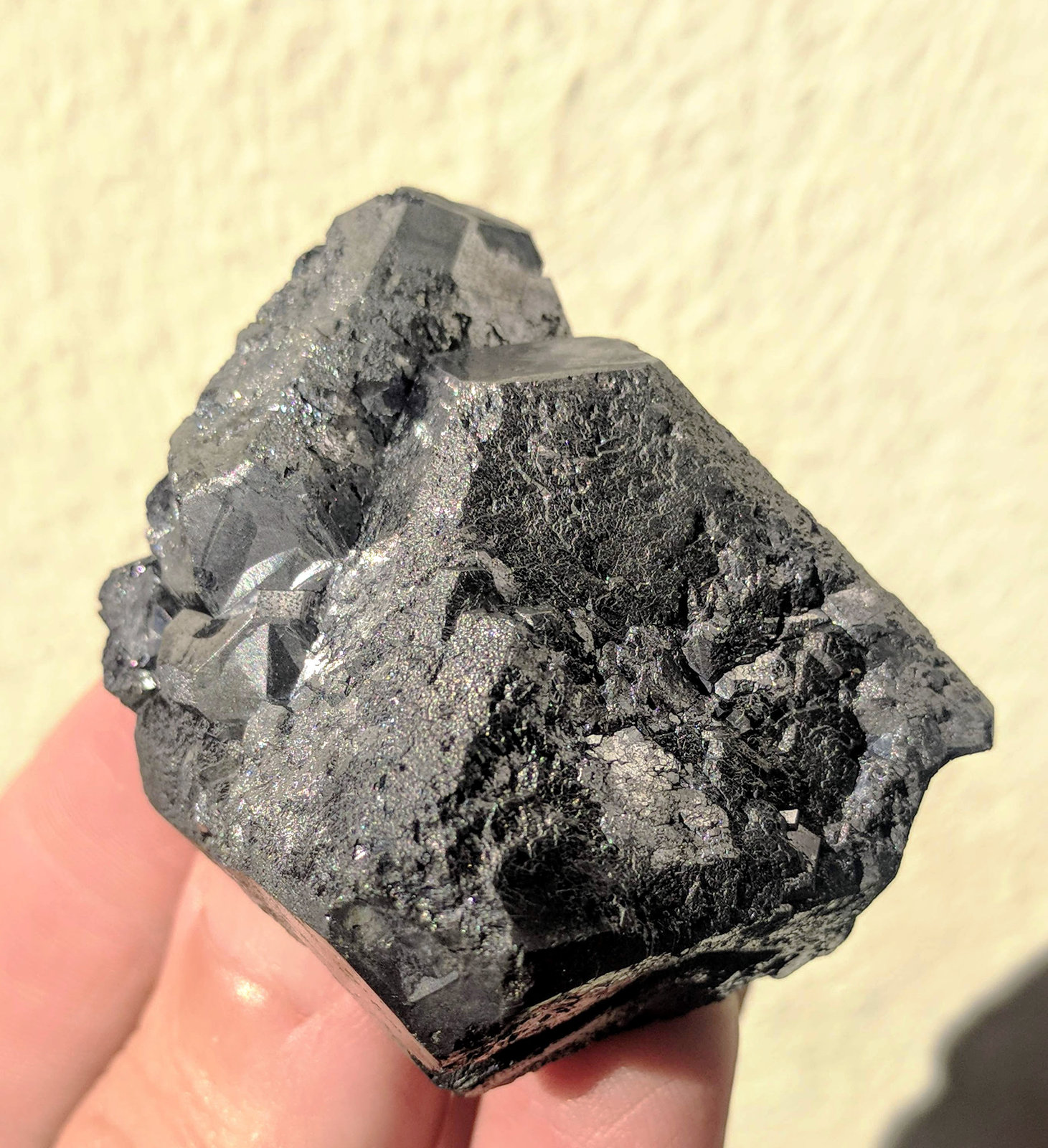 Galena
5,0 x 5,0 cm.
(Autor: carles)