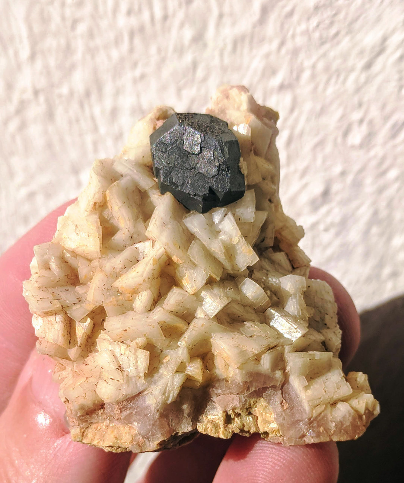 Galena, Dolomita
4,1 x 4,6 cm.
(Autor: carles)