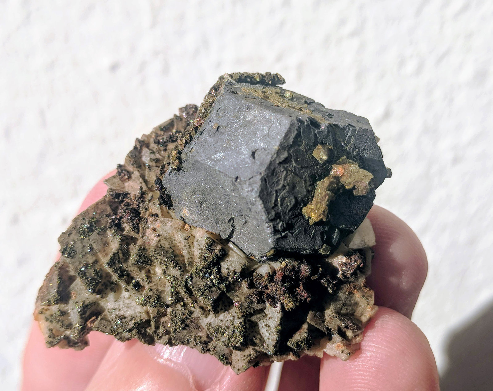 Galena, Pirita, Dolomita
4,4 x 3,5 cm.
(Autor: carles)
