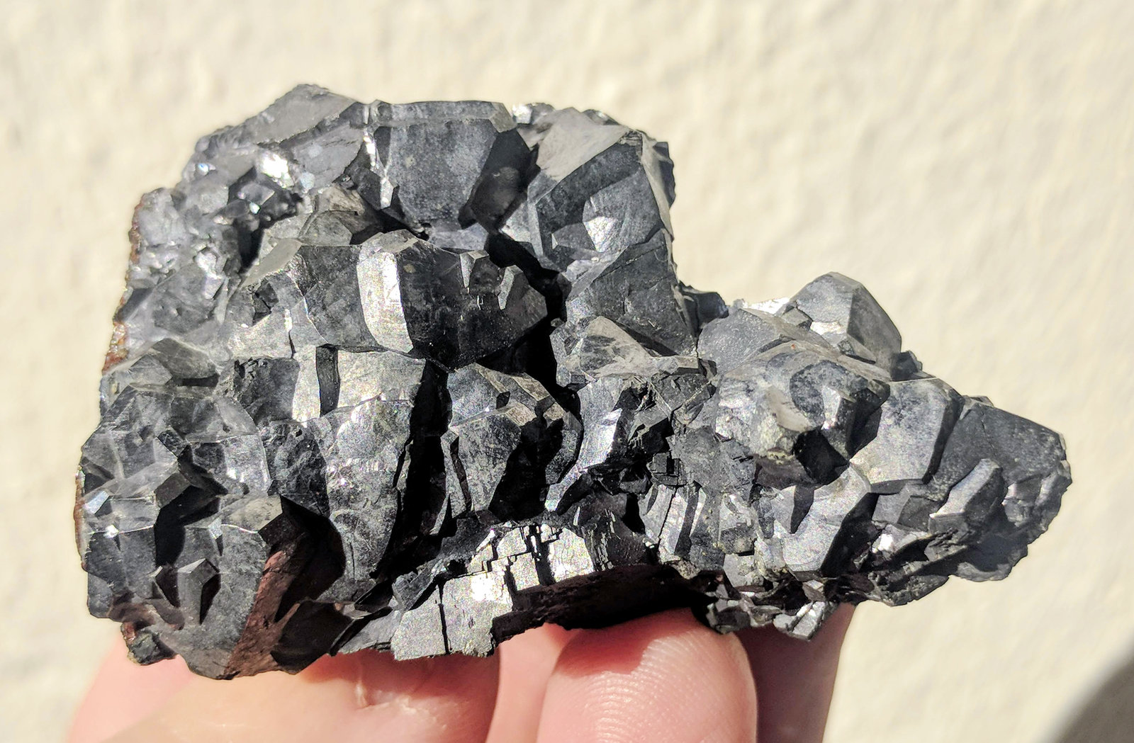 Galena
5,6 x 4,0 cm.
(Autor: carles)