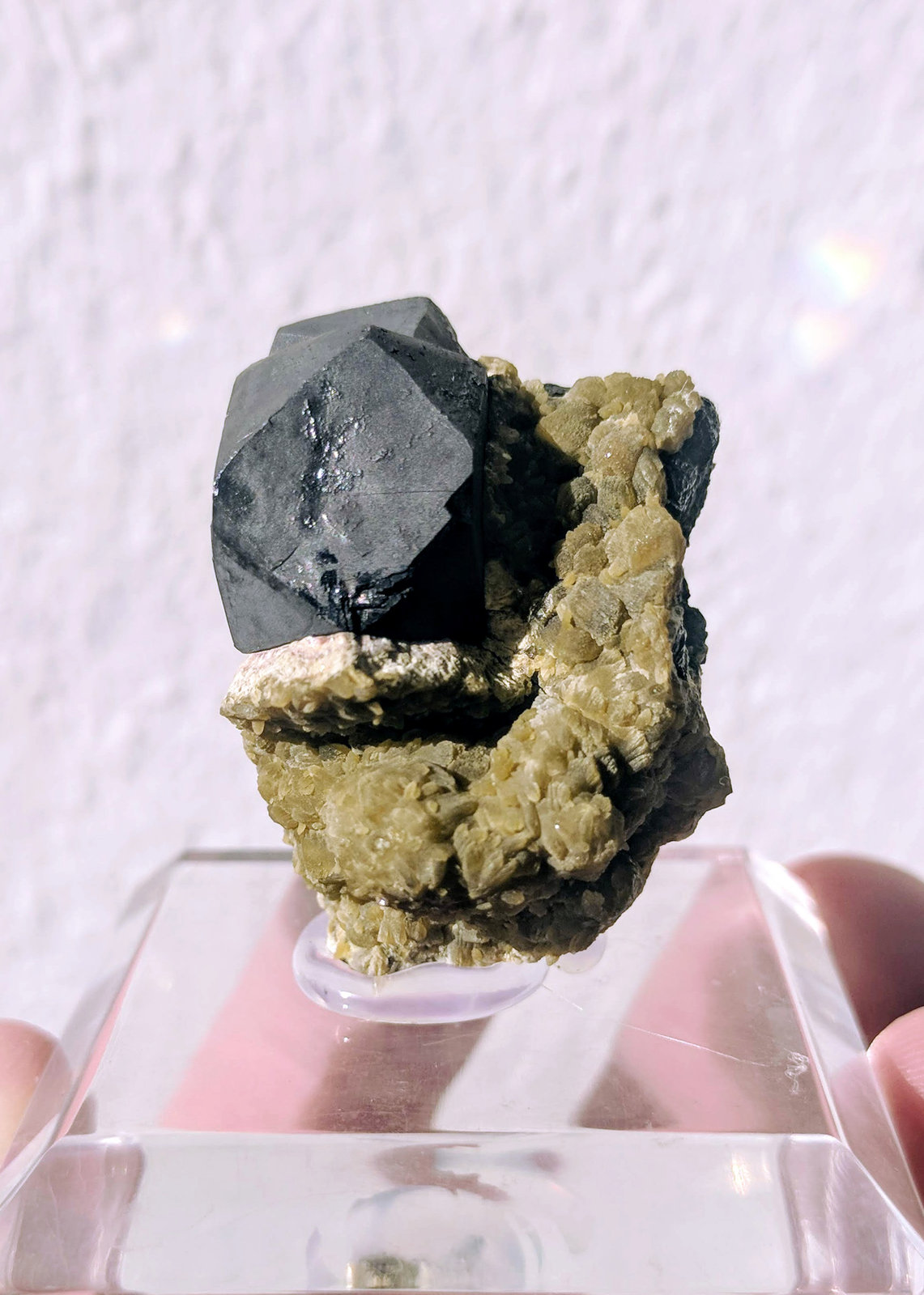 Galena, Siderita
2,6 x 3,3 cm.
(Autor: carles)