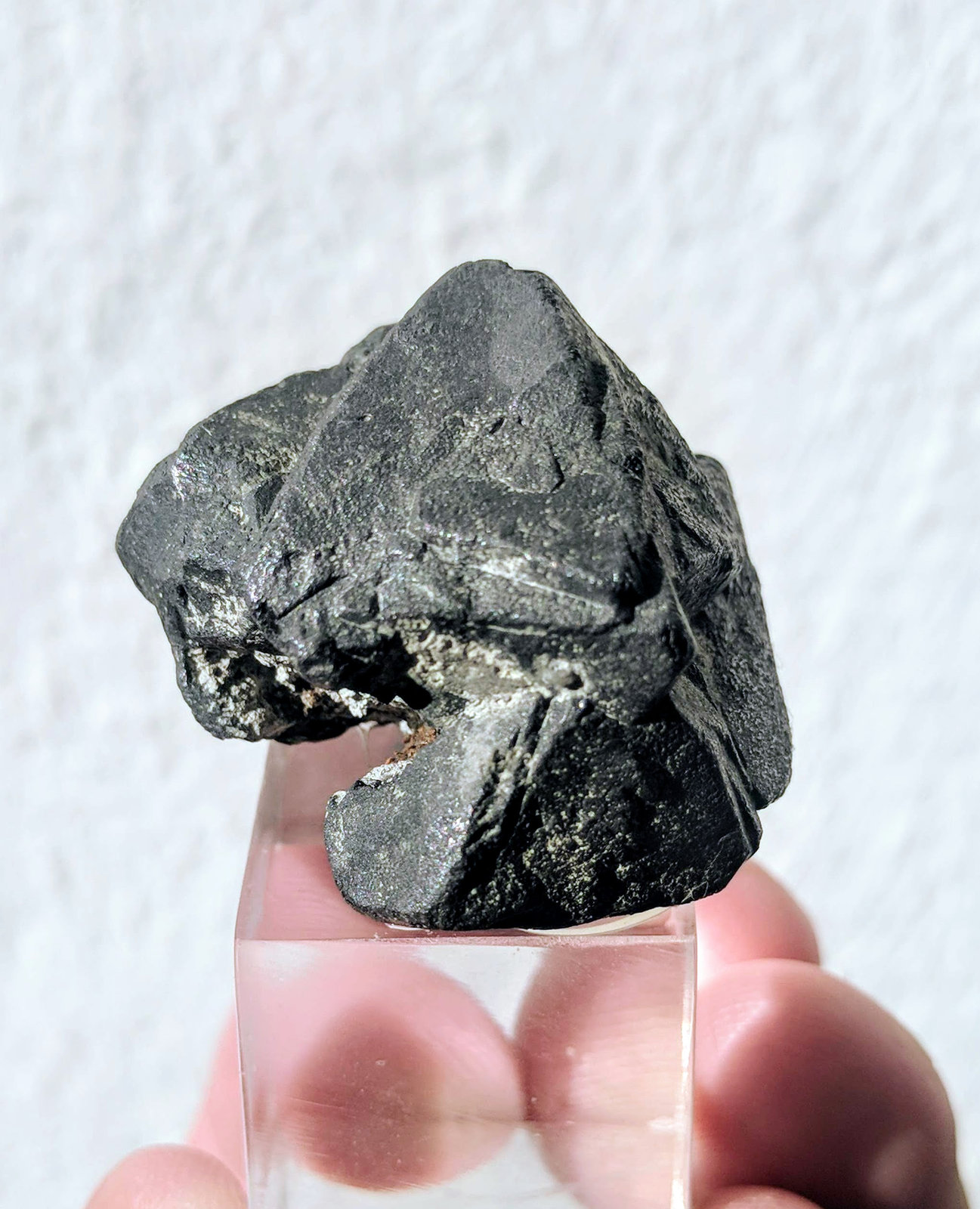 Galena
2,8 x 2,5 cm.
(Autor: carles)