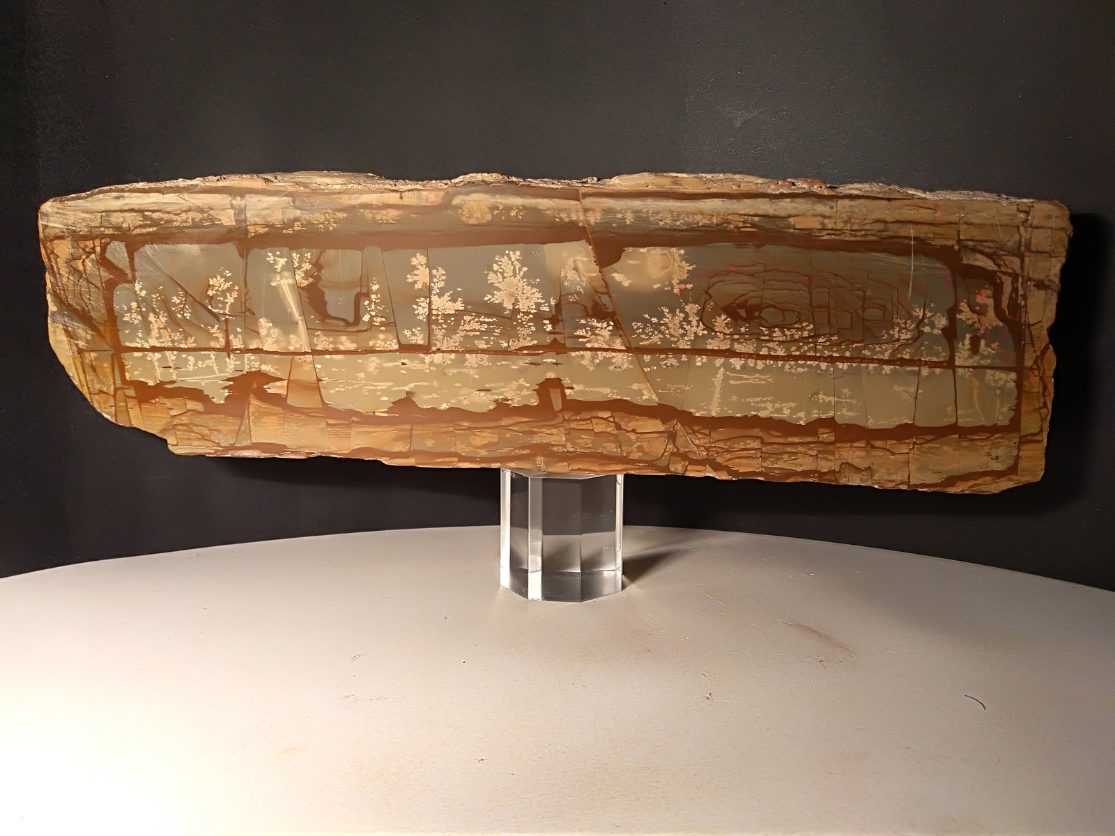 Piedra paisajistica
310 x 90 mm
(Autor: Sante Celiberti)