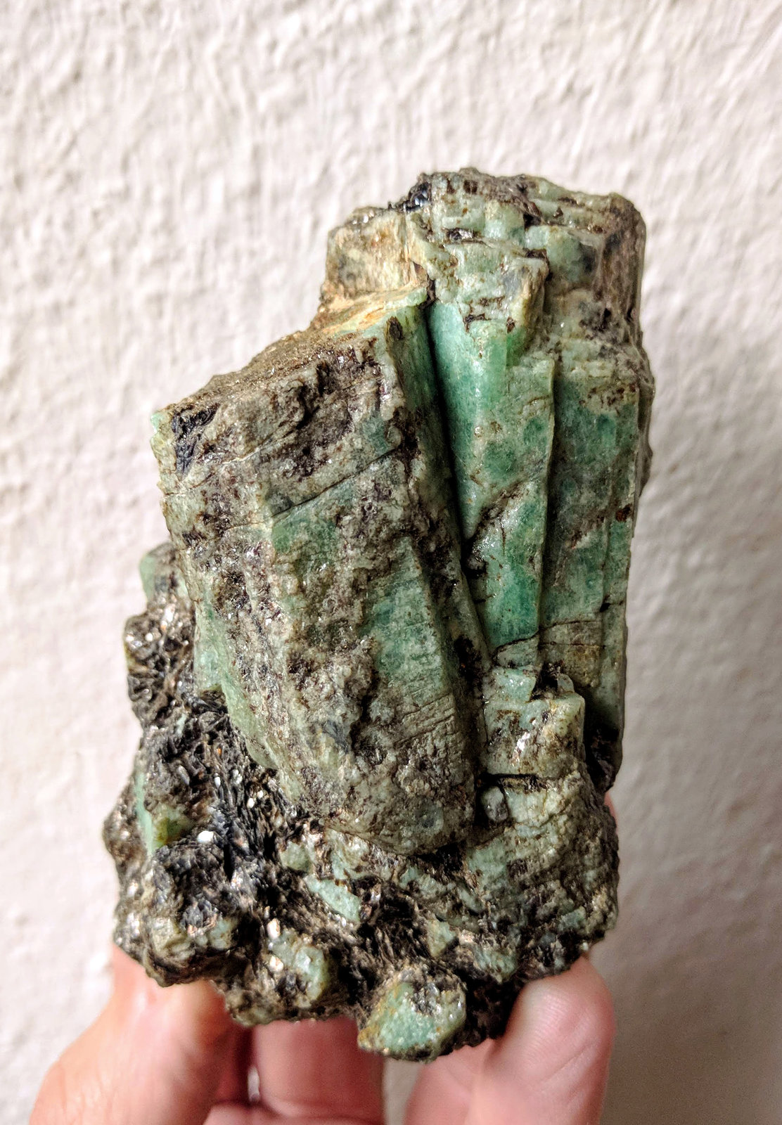 Berilo (variedad esmeralda), Flogopita
6,0 x 9,3 cm.
(Autor: carles)