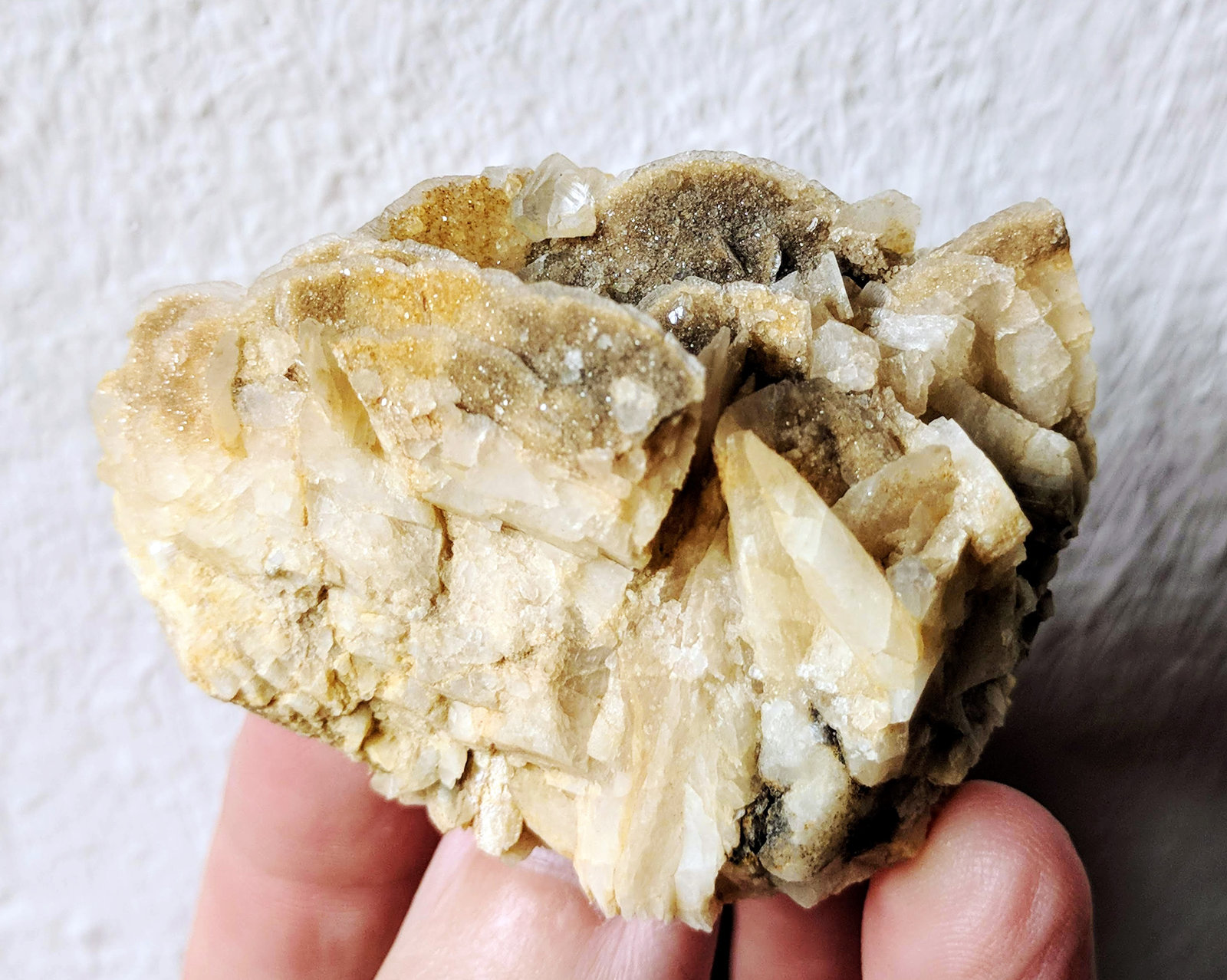 Magnesita, Dolomita
6,0 x 3,2 cm.
(Autor: carles)