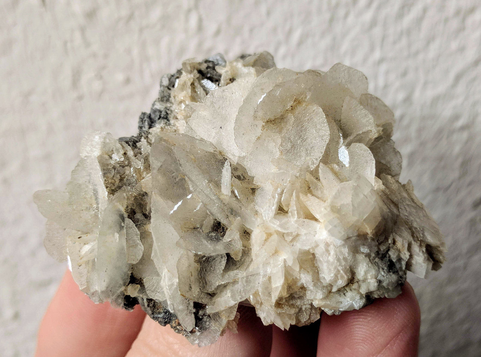 Magnesita
5,5 x 4,5 cm.
(Autor: carles)