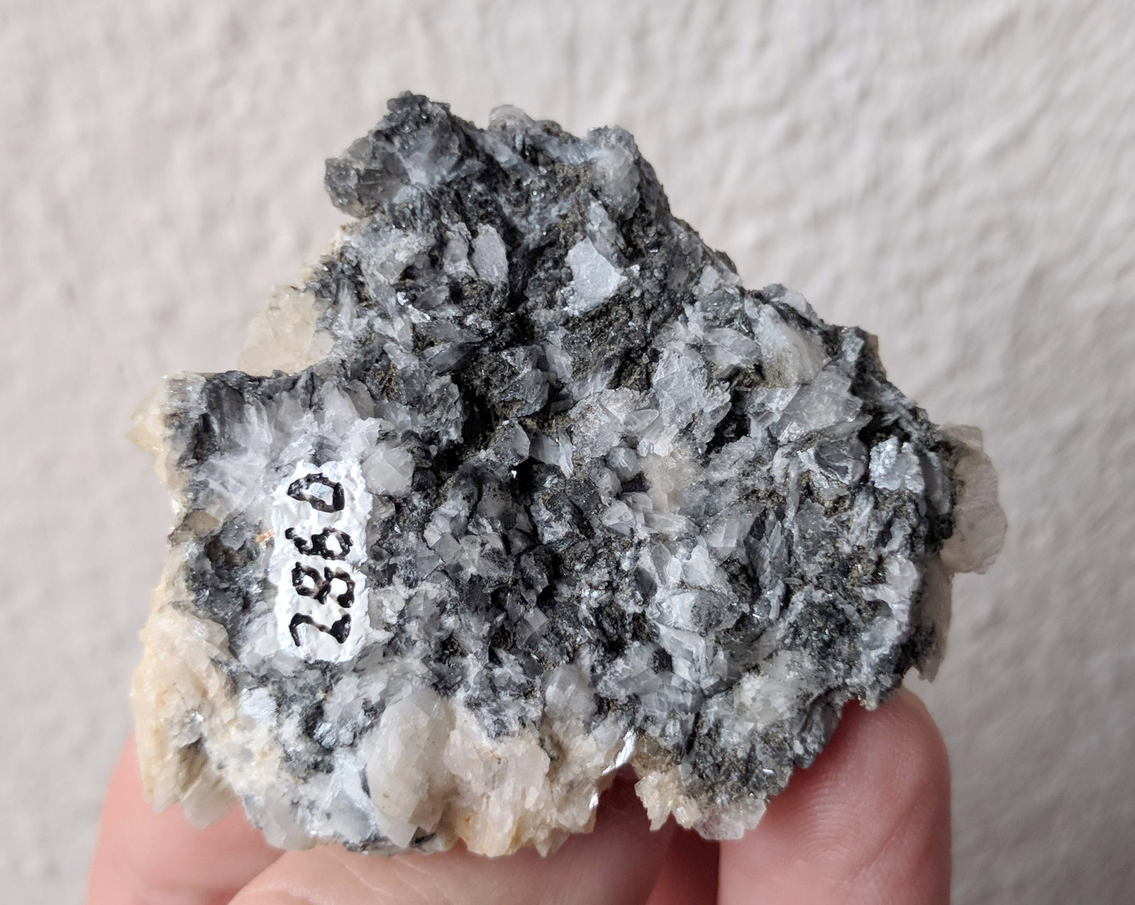 Magnesita
5,5 x 4,5 cm.
(Autor: carles)
