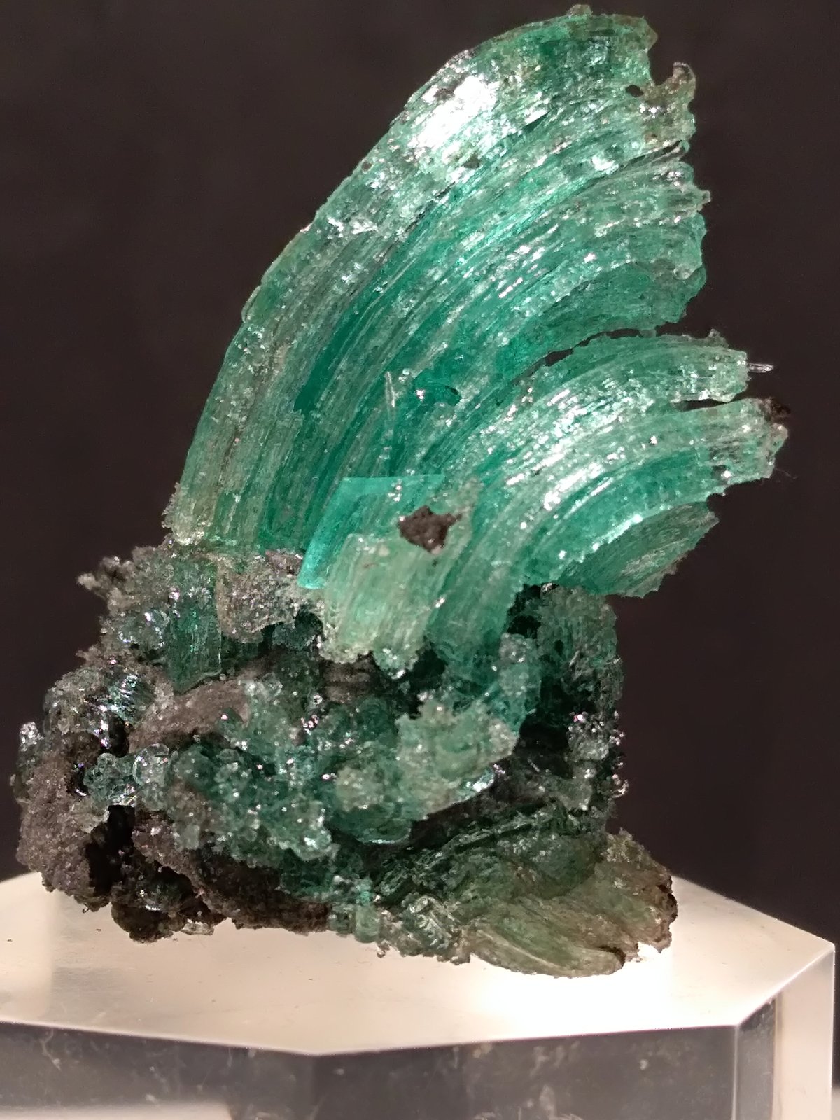 Calcantita
48 x 29 mm
(Autor: Sante Celiberti)