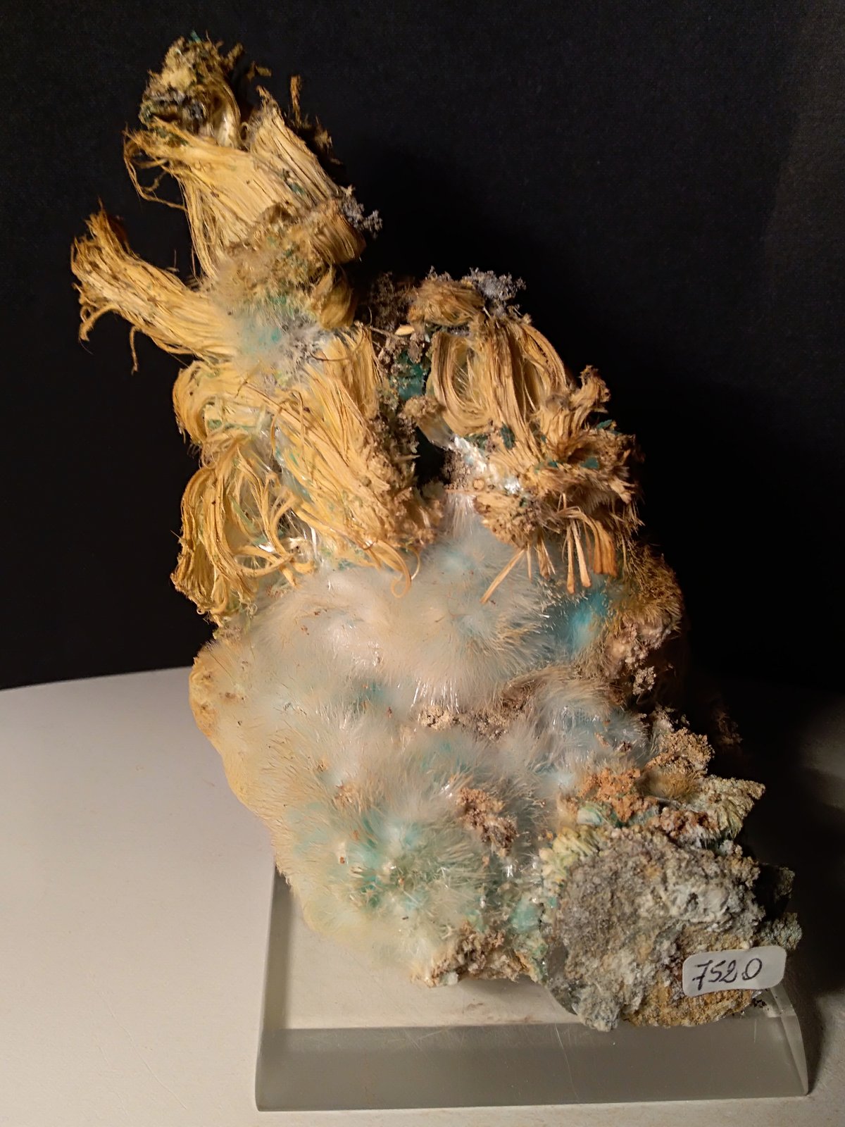 Calcantita, Pickeringita, Halotriquita
165 x 98 mm
(Autor: Sante Celiberti)