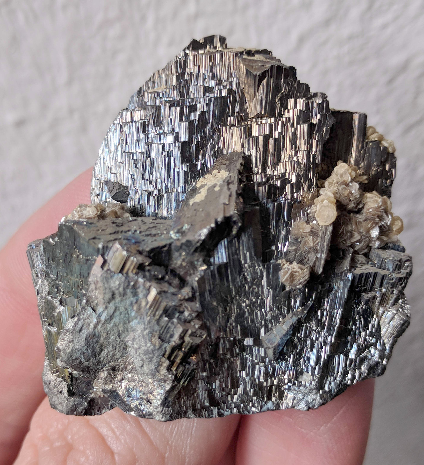 Arsenopirita, Siderita
4,0 x 4,3 cm.
(Autor: carles)