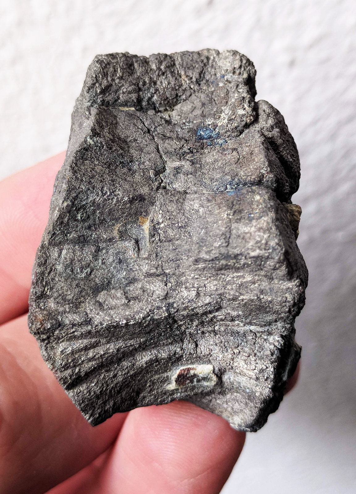 Arsenopirita
3,0 x 4,5 cm.
(Autor: carles)