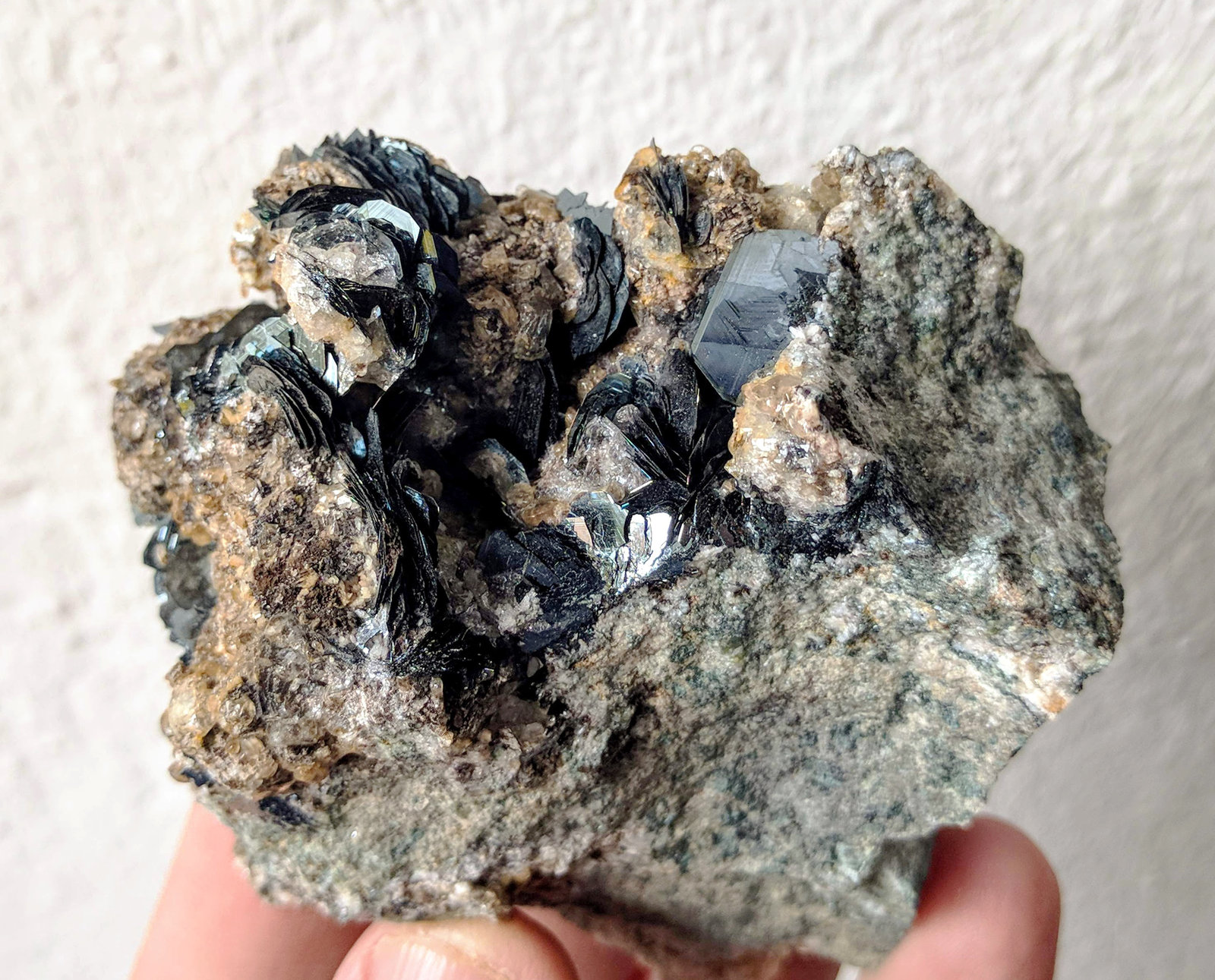 Hematites
7,2 x 4,0 cm.
(Autor: carles)