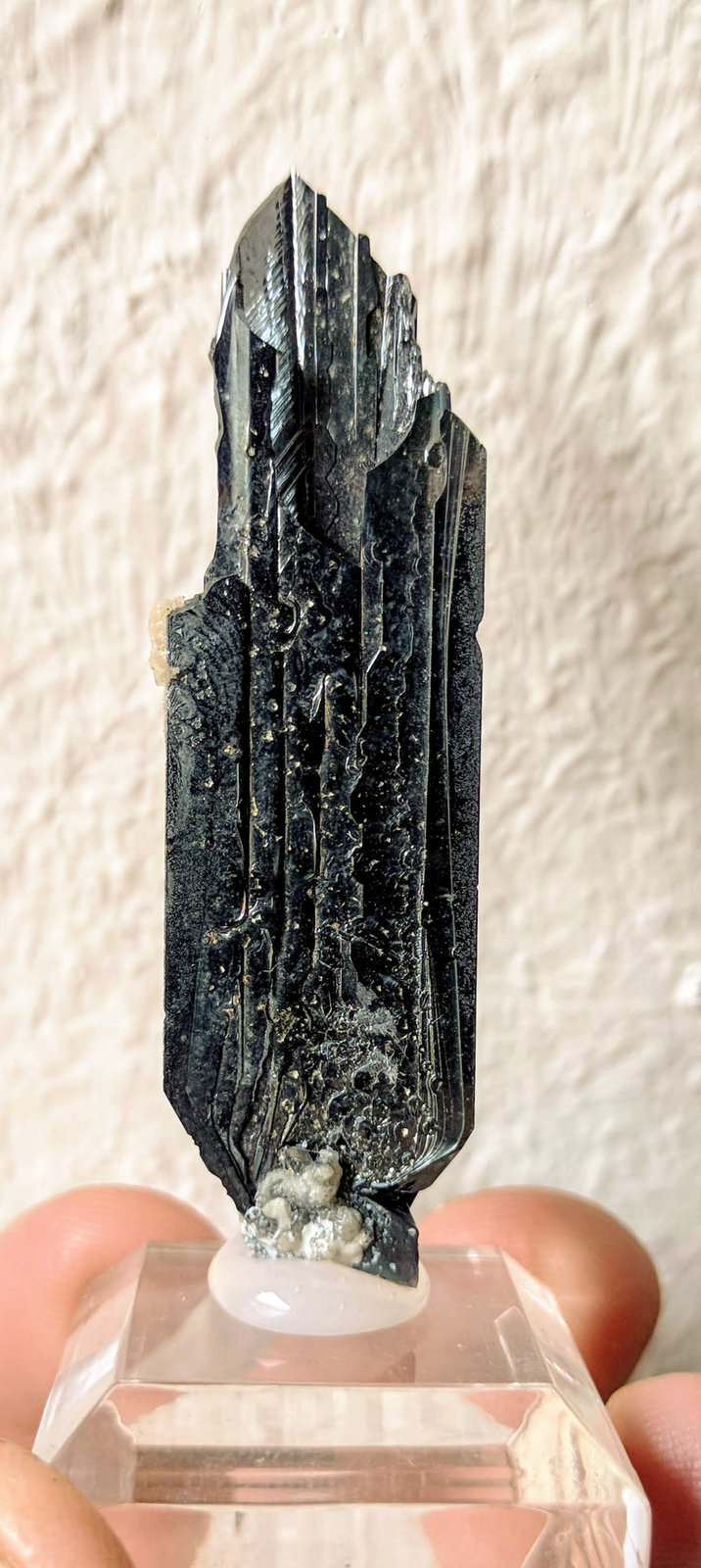 Hematites
1,2 x 5,5 cm.
(Autor: carles)