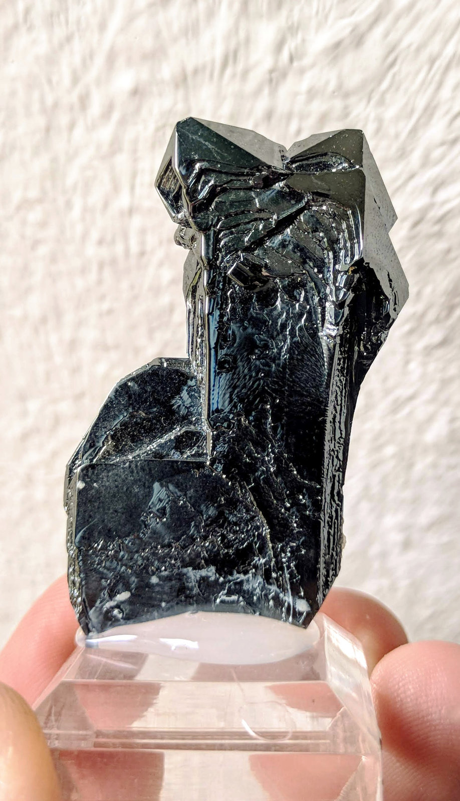 Hematites
3,0 x 4,5 cm.
(Autor: carles)