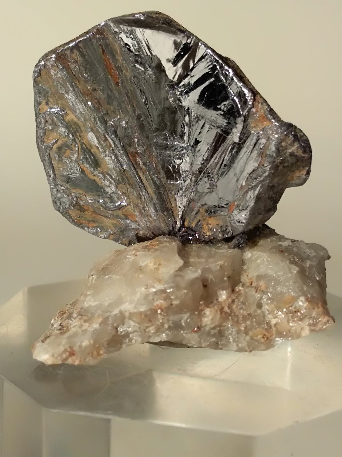 Molibdenita
31 x 30 mm
(Autor: Sante Celiberti)